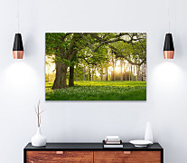 Obraz Potulky po Slovensku 1675